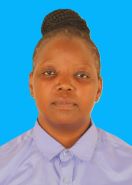 THERESIA J MALLY