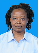 EMERENSIANA EMERENSIANA