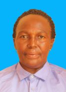 STELLA H MWAITUKA