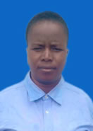 HOLLO L J BULAYI