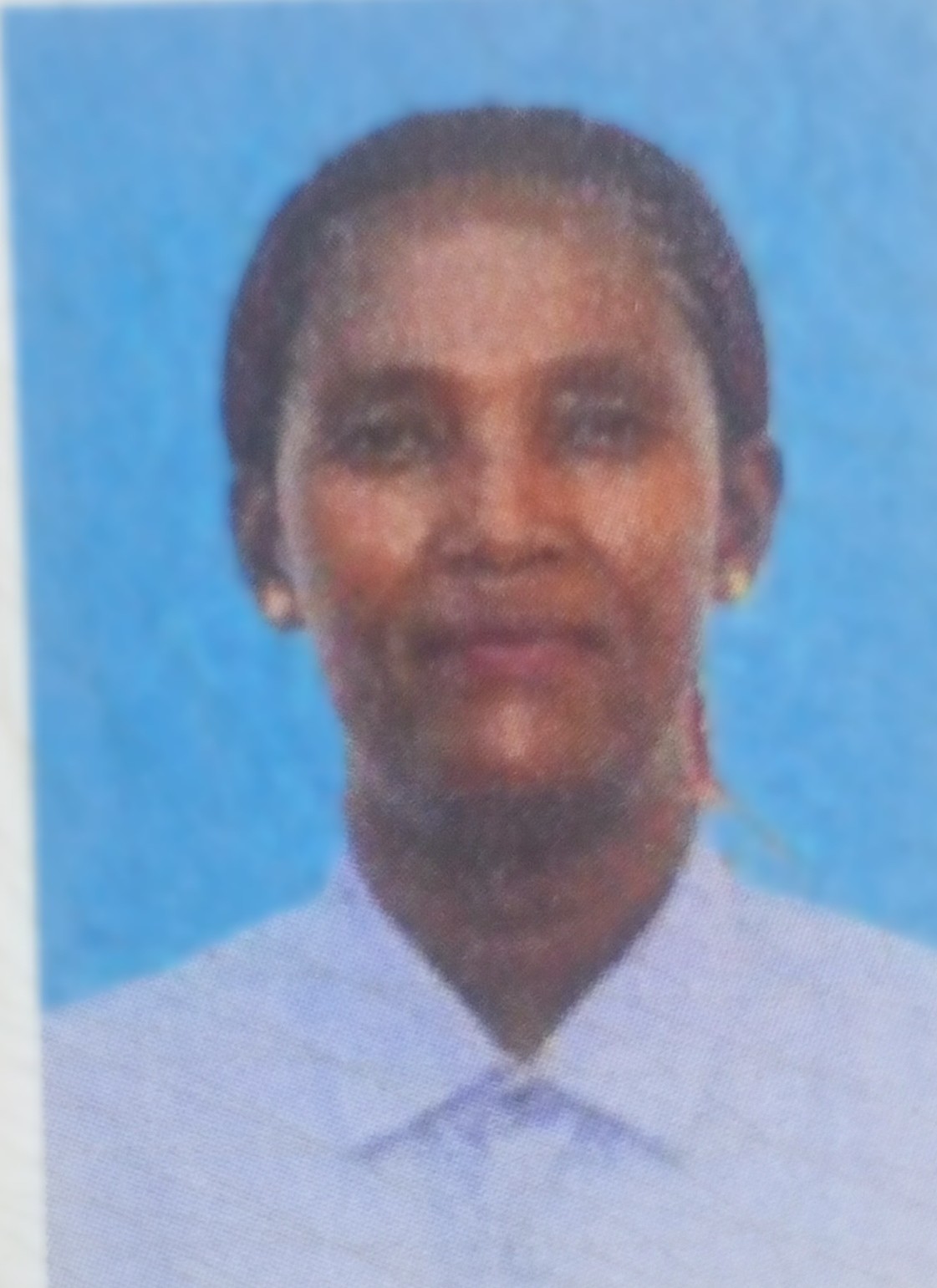 FEBRONIA HONORI